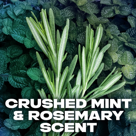 Phoenix Deodorant Set - Picture 2 of 3